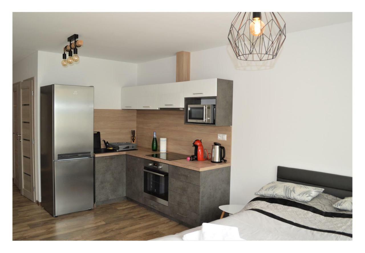 Sgl Apartments Lavickova Тренчин Екстер'єр фото