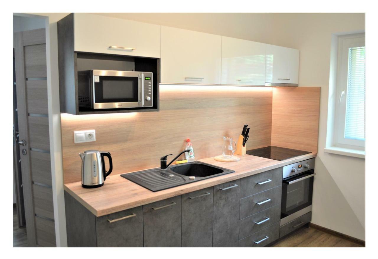 Sgl Apartments Lavickova Тренчин Екстер'єр фото